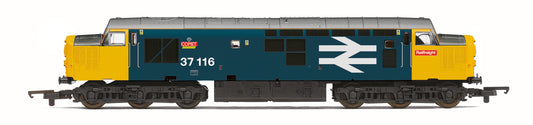 Hornby R30185 - Railroad Plus (enhanced Livery) BR Class 37 Co-Co 'Comet' No.37116